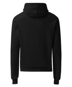 Unisex Champion hoodie_test