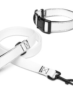 Pet collar & leash