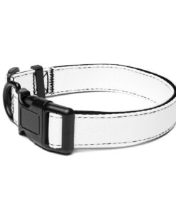 Pet collar